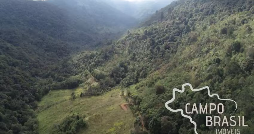 Área rural 20.000mts em santo antonio do pinhal em localização privilegiada!
