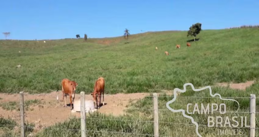 Oportunidade rural! fazenda de 106 alqueires a poucos minutos do centro de são josé!