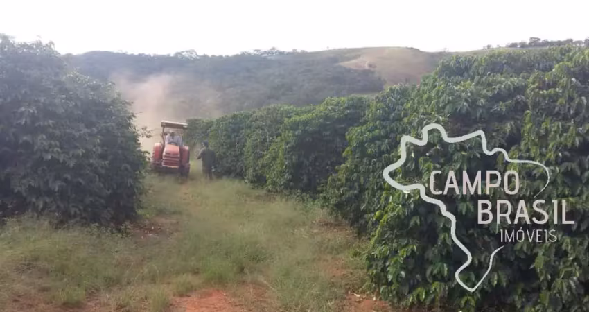 Fazenda de café 33,5 hectares no sul de  minas gerais !