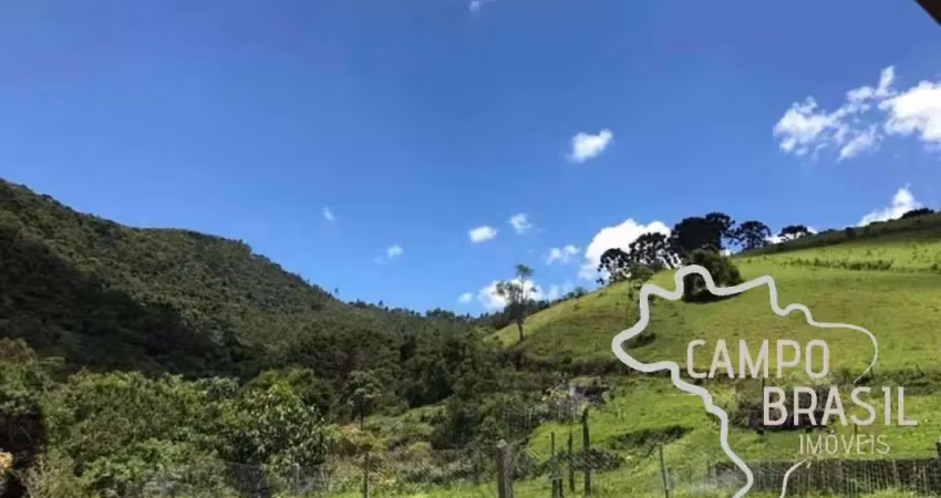 Fazenda à venda na Estrada Principal, Zona Rural, Delfim Moreira
