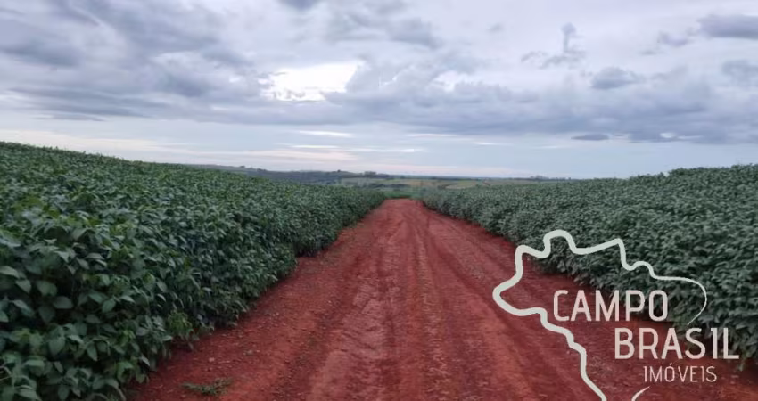 OPORTUNIDADE SUL DE MINAS GERAIS - FAZENDA COM 212 HECTARES !