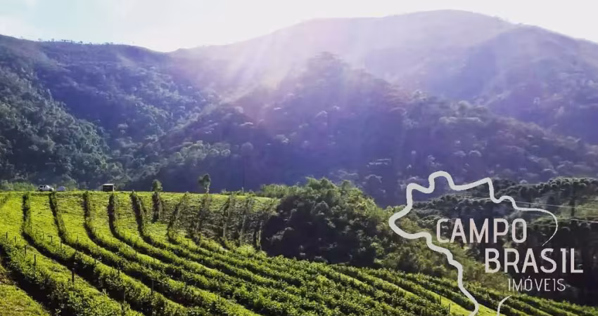 Maravilhosa fazenda 54 hectares em carvalhos - mg !