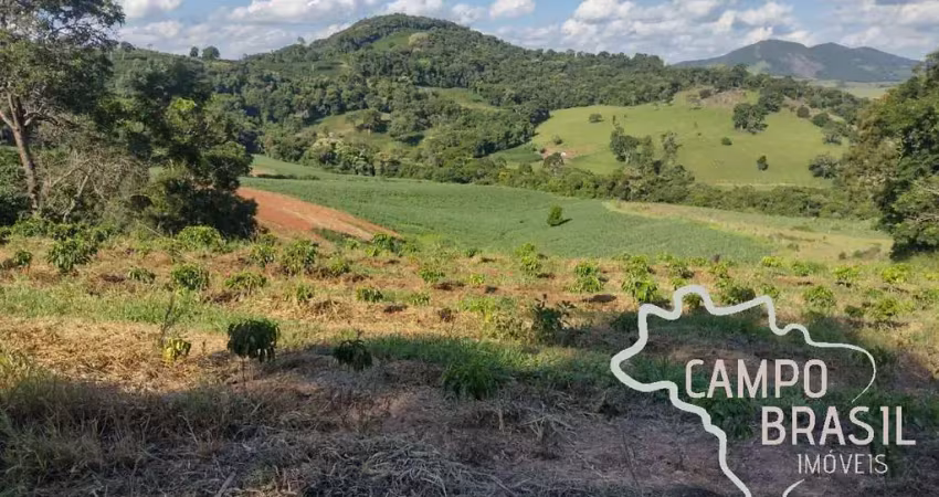 Fazenda 80 hectares  em conceição do rio verde - mg !