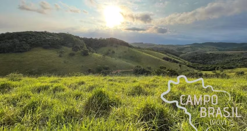ÁREA RURAL 3,5 ALQUEIRES Á 2KM DO ASFALTO  COM PASTO FORMADO E NASCENTE  EM JAMBEIRO !