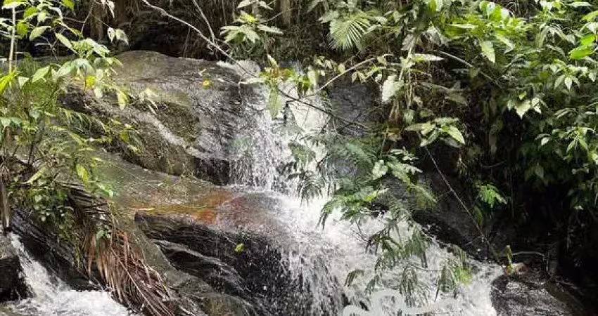 Sítio 7 alqueires com cachoeira exuberante ideal para empreendimento de centro de lazer !