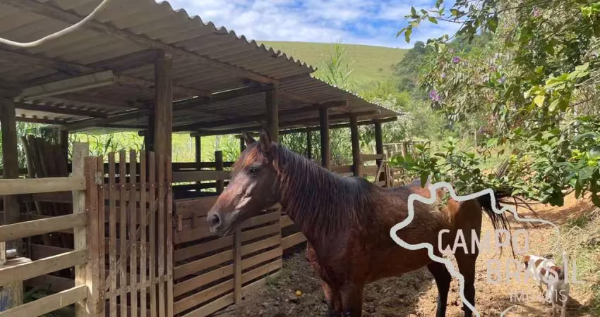 Lindo sítio formado de 4,8 hectares! com casa rústica e aconchegante em são josé dos campos.