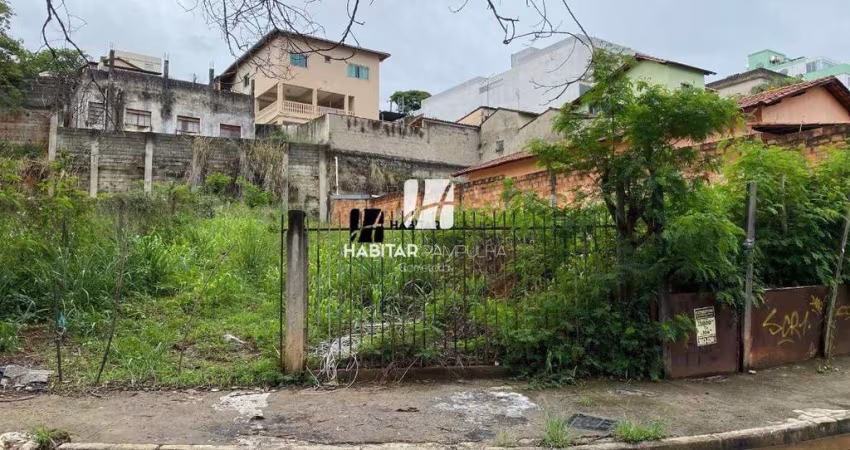 Terreno à venda na Santa Amélia, Belo Horizonte 