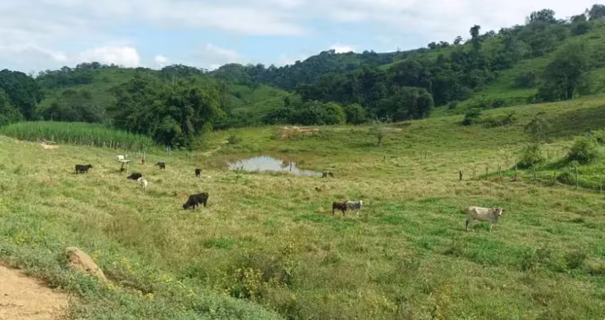 Fazenda terreno rural pingo d`água - mg - zona rural