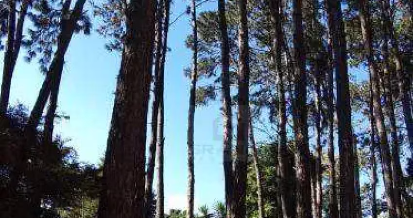 Terreno à venda na Rua Padre Mateus de Lara Leão, Granja Viana, Cotia