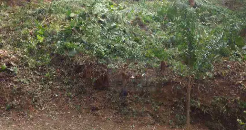 Terreno à venda, 500 m² por r$ 380.000,00 - são paulo ii - cotia/sp
