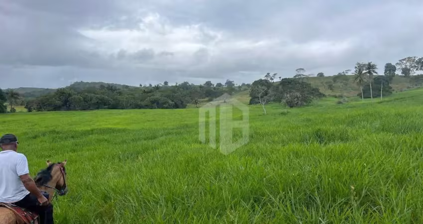 Fazenda à venda em catú, bahia – 182 hectares com rio e aguadas!