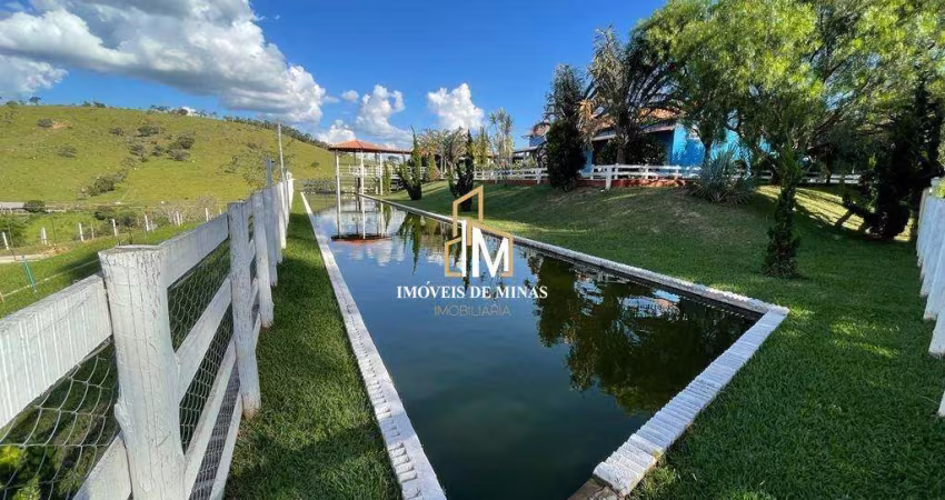 Fazenda á venda de 50 hectares com 04 quartos sendo 01 suíte em Crucilândia MG!