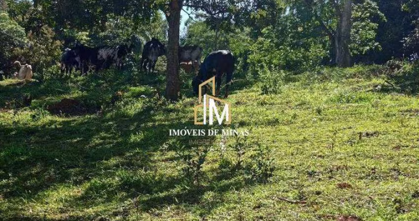 Terreno á venda de 25.000m² com topografia á venda em Igarapé MG!