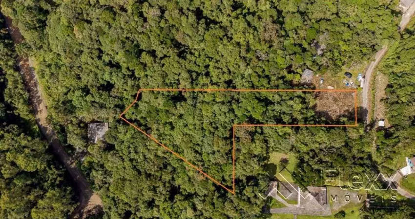 Chácara com 1 dormitório à venda, 3849 m² por r$ 150.000,00 - menino deus - quatro barras/pr