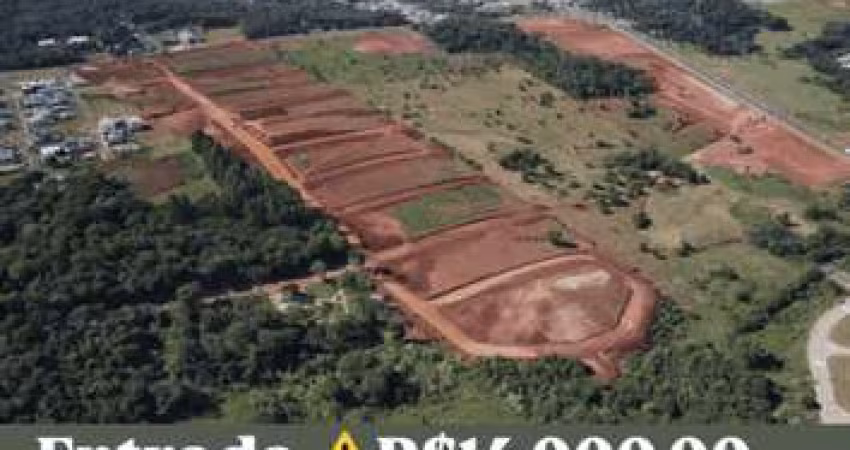 Terrenos no Loteamento Revoar