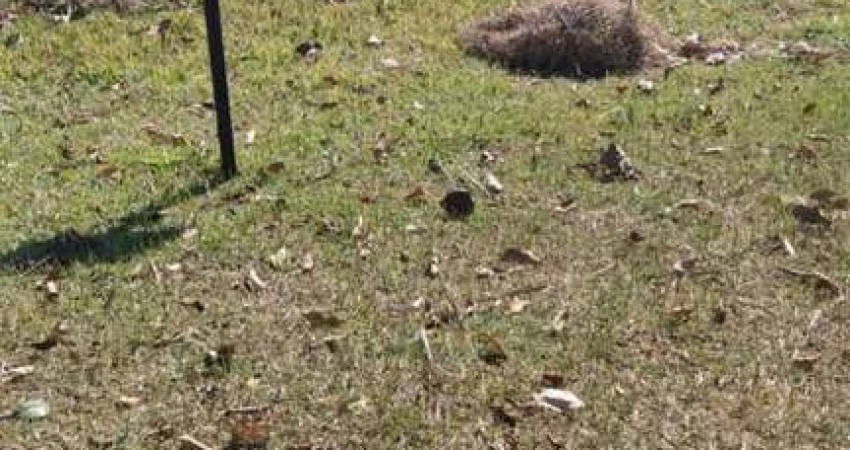 Terreno em Condomínio para Venda em Salto, Mirante dos Ipês