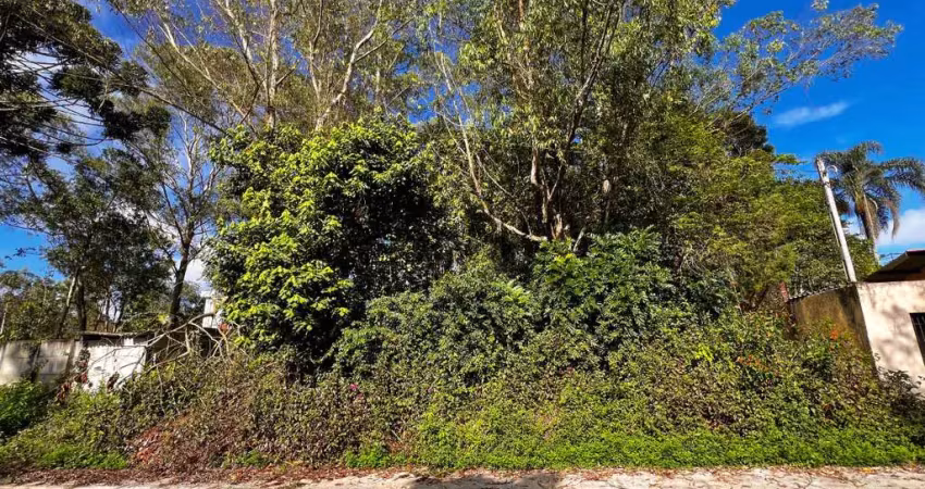Terreno residencial para venda em ouro fino, 1,200m²