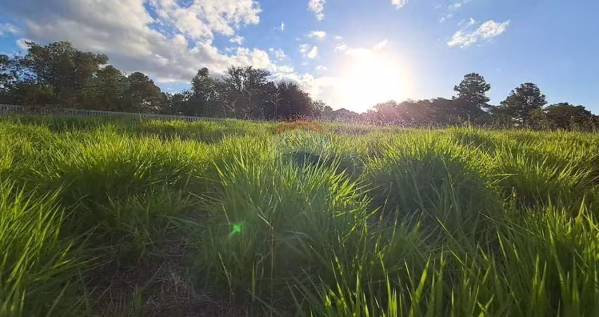 Terreno à venda na Estrada Caminho do Meio, 3073, Vila Augusta, Viamão