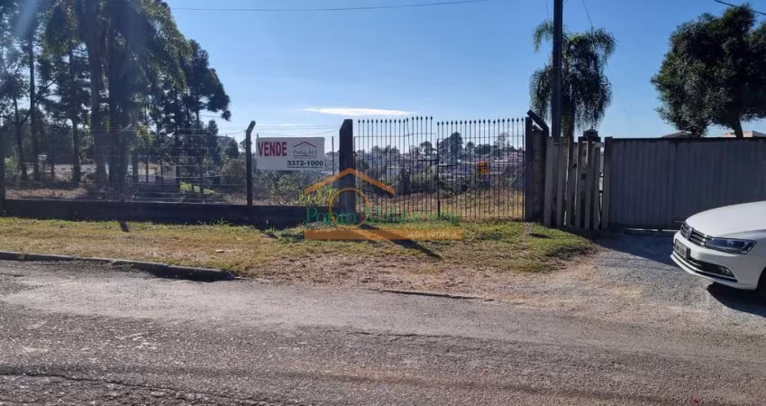 Terreno comercial à venda na Rua das Amoreiras, 772, Lamenha Grande, Almirante Tamandaré