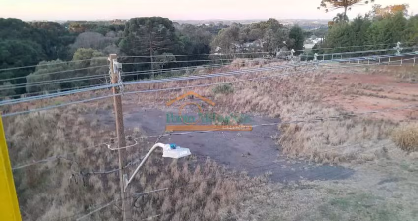 Terreno comercial à venda na Rodovia BR-277 Curitiba Ponta Grossa, km 121, Rondinha, Campo Largo