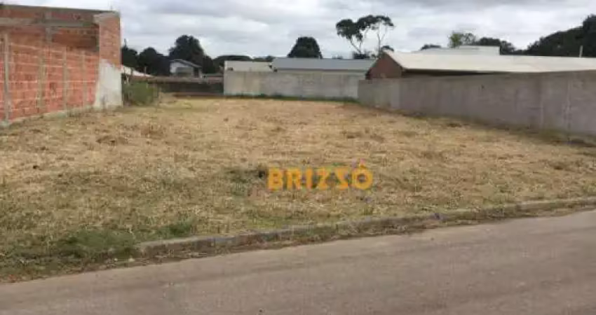 Terreno à venda, 600 m² por r$ 600.000,00 - butiatuvinha - curitiba/pr