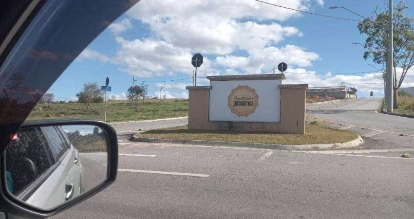 Terreno à venda, 250 m² por R$ 370.000,00 - Recanto dos Eucaliptos - São José dos Campos/SP