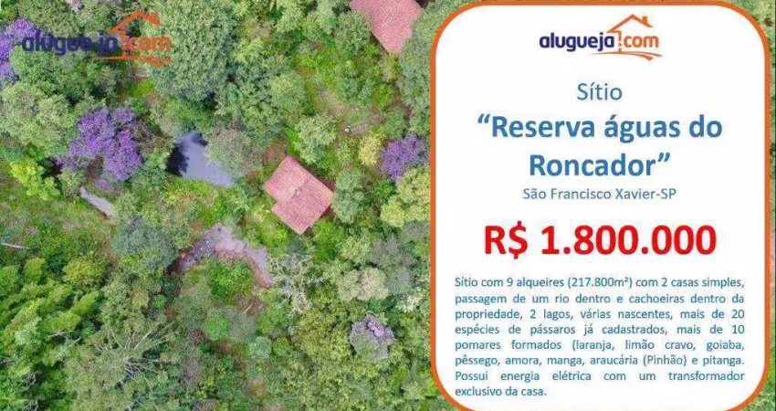Sítio à venda no roncador - são francisco xavier/sp com 217800 m²