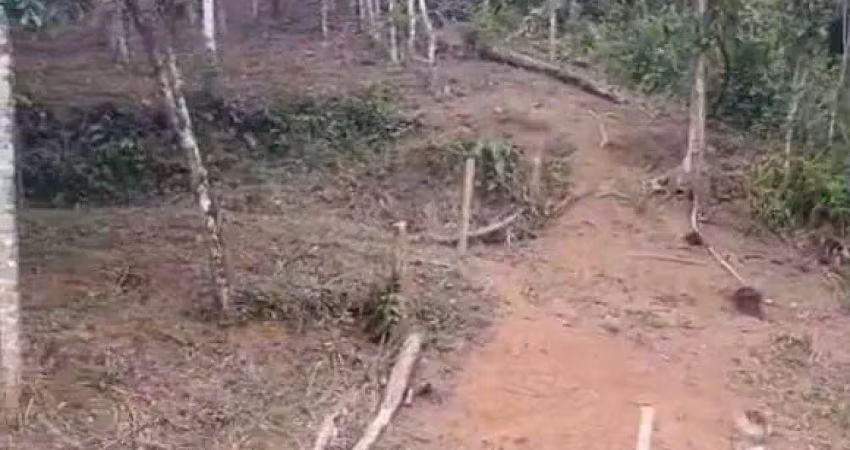 Terreno à venda, 400 m² por r$ 220.000 - praia do itamambuca - ubatuba/sp