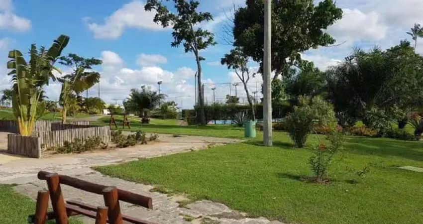 Terreno  comercial na avenida  universitária com 32.000m