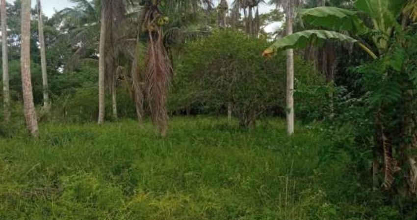 Terreno à venda no Centro de Conceição da Feira-BA com 43.560,00 m² de área. Aproveite essa oportunidade única!