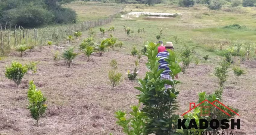 Terreno à venda em feira de santana-ba - bairro tomba - 4.600m² de área. imperdível oportunidade de investimento!