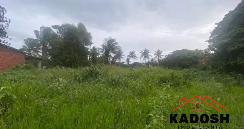 Venda de 1 tarefa localizada na estrada da tapera aeroporto em feira de santana