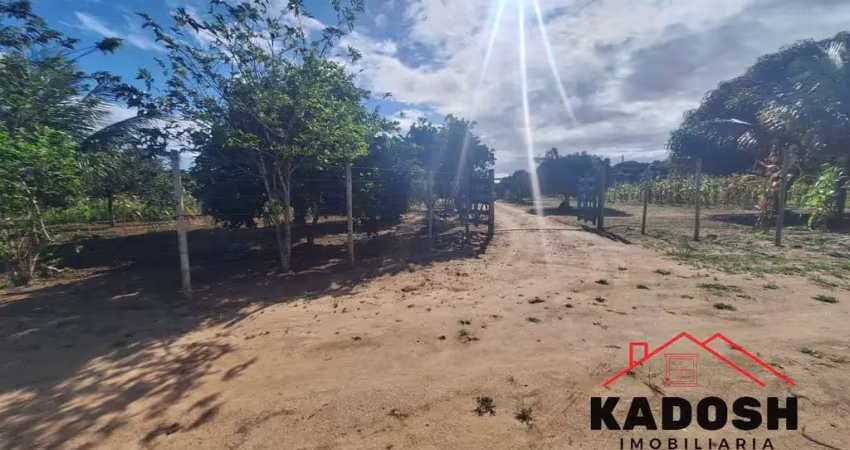 Oportunidade imperdível: sitio para venda localizado no retiro em coração de maria