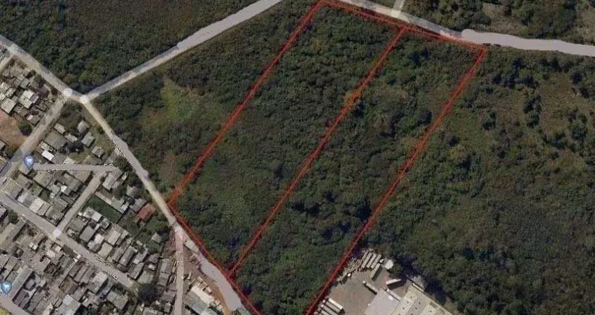 Terreno comercial à venda em Costa do Ipiranga, Gravataí 