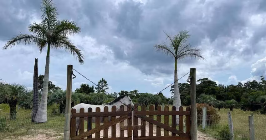 Chácara / sítio com 4 quartos à venda no Centro, Osório 