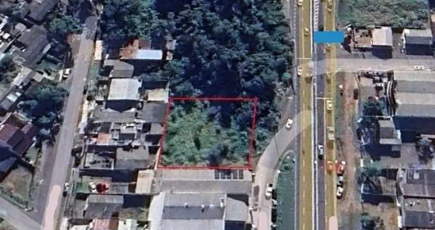 Terreno comercial para alugar no Vera Cruz, Gravataí 
