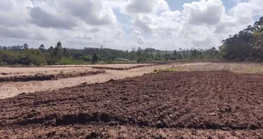 Terreno comercial à venda no Centro, Capela de Santana 