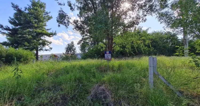 Terreno comercial à venda na Vila City, Cachoeirinha 