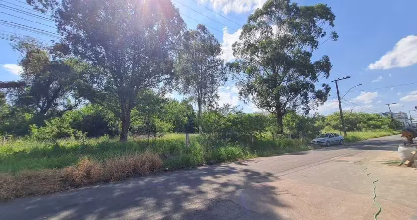 Terreno comercial à venda na Vila City, Cachoeirinha 