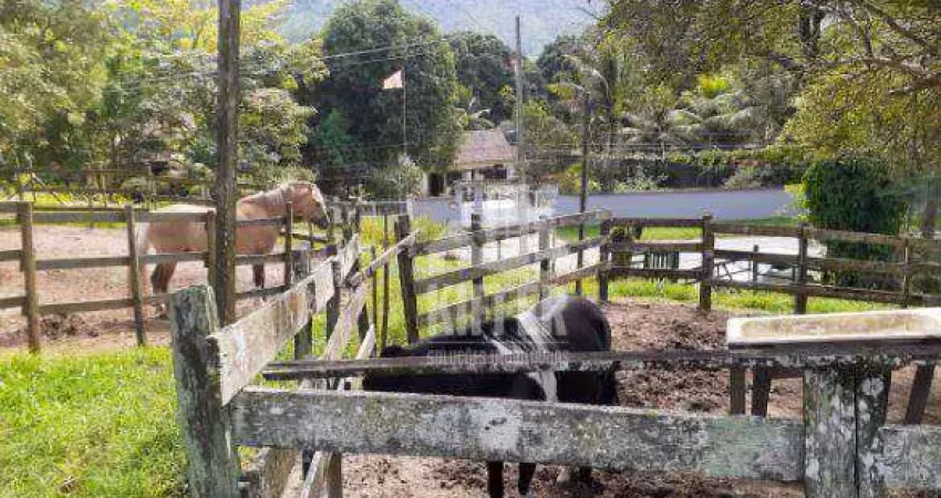 Sítio com 3 quartos à venda, 96000 m² por r$ 1.000.000 - ponta negra - maricá/rj