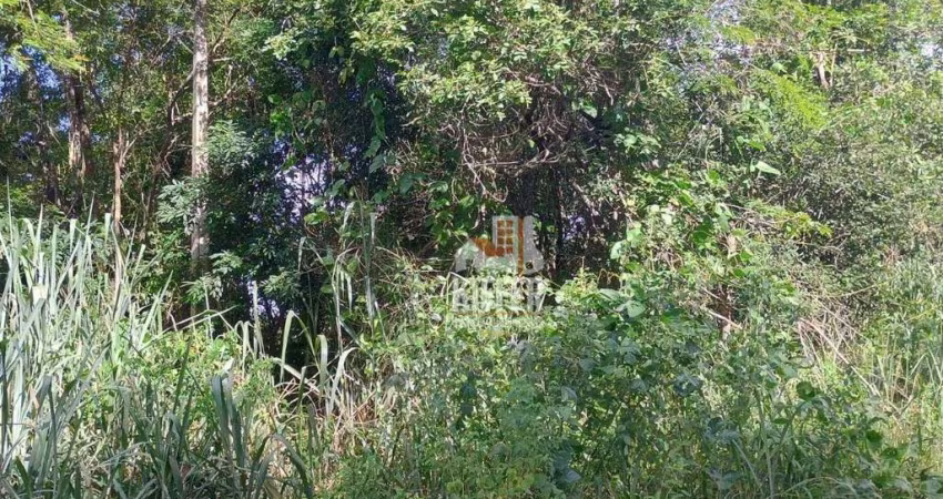 Terreno à venda, 4125 m² por R$ 210.000,01 - Itaocaia Valley (Itaipuaçu) - Maricá/RJ