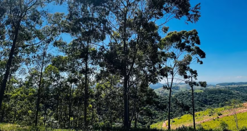 Terrenos 1000m² traga sua familia!