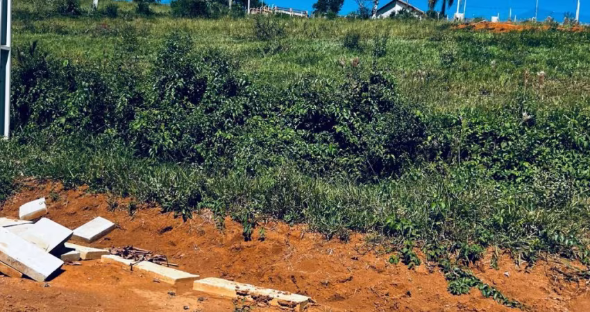 seu lugar ao sol terreno dos sonhos