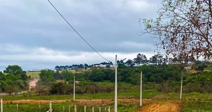 descicao chacarana planta