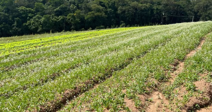 KL-terreno de 500M em Ibiúna , por apenas 60.000.