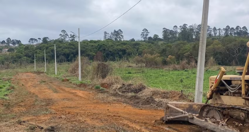 Excelente Oportunidade – Terreno em Área Valorizada