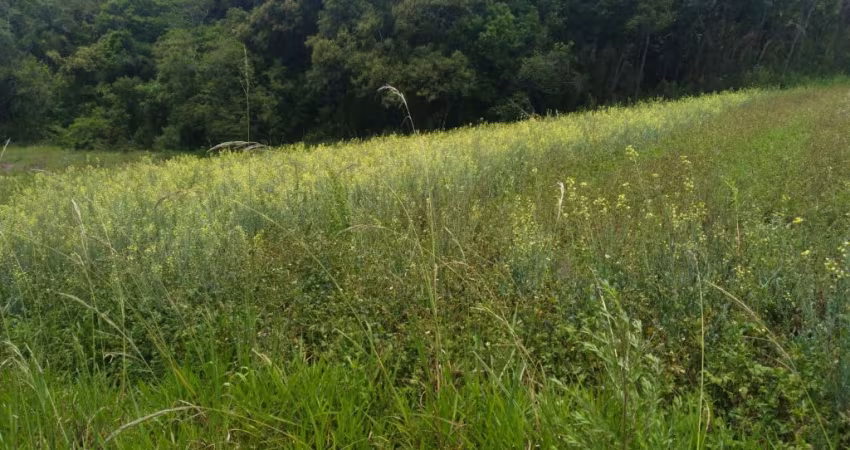 Lote com vista panorâmica – ideal para residência