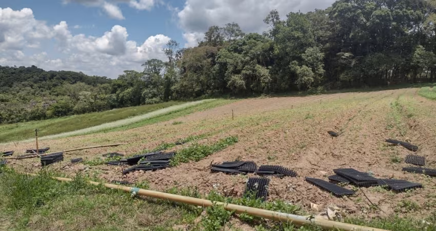 Entrega em 180 dias,  com, piscina e lazer garantido