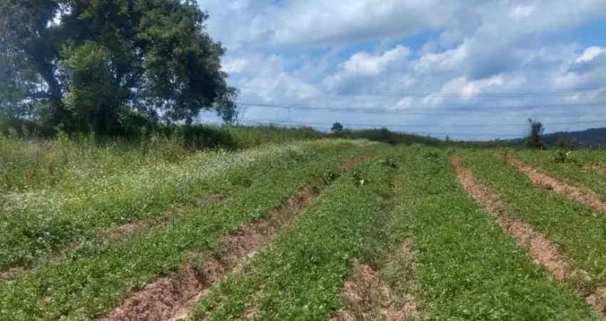Terreno à venda na Estrada Municipal da Cachoeira, 9, Cachoeira, Cotia