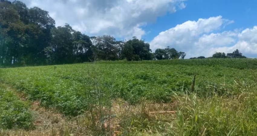 L1- Lindos lotes em lançamento venha!